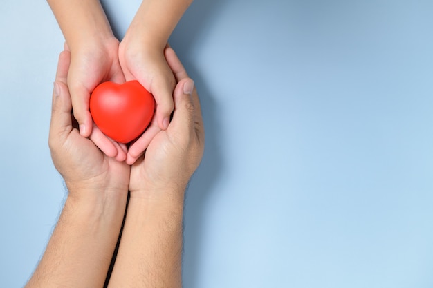 Adult and child hands holding red heart isolated, health care, love and family insurance concept