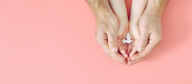 Adult and child hands holding white dove bird on pink background, international day of peace or world peace day concept, sustainable consumption, csr responsible business concept