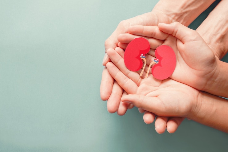 Adult and child holding kidney shaped paper on textured blue background, world kidney day, National Organ Donor Day, charity donation concept
