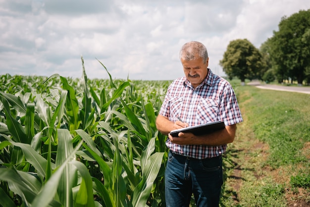 Adult farmer checking plants on his farm. agronomist holds tablet in the corn field and examining crops. Agribusiness concept. agricultural engineer standing in a corn field with a tablet.