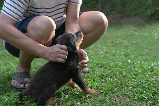 Adult male playing with puppy dog in the garden