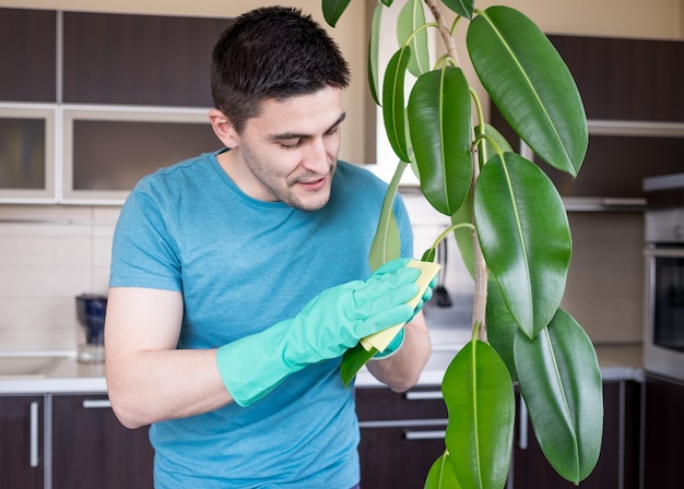 Adult man cleaning leaves in kitchen