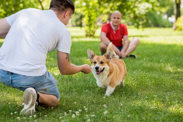 大人の男性が都市公園で彼女のウェルシュコーギーペンブローク犬を訓練しています