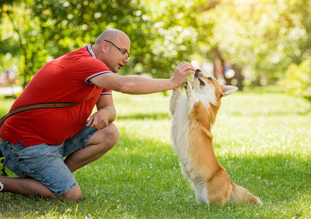 L'uomo adulto sta addestrando il suo cane pembroke welsh corgi al parco cittadino