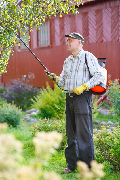 Adult man spraying shrubs in the garden