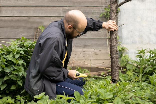 Adult millennial bald man with beard working in the garden, cutting down dried tree with hand saw