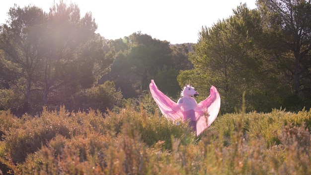 Adulto con un costume da unicorno rosa in piedi perso in un campo densamente vegetato