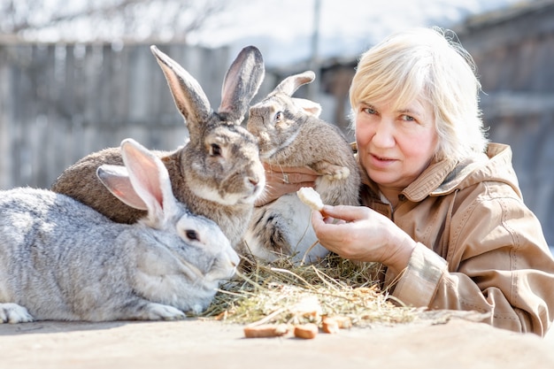 Adult woman feeds rabbit farm. Domestic livestock