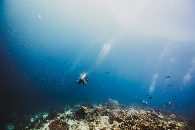 Adventure Diving over a reefscape