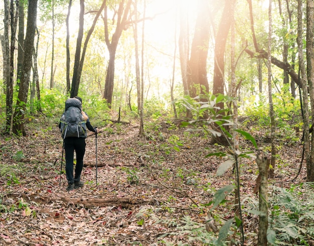 Photo adventure hiking on mountain at forest