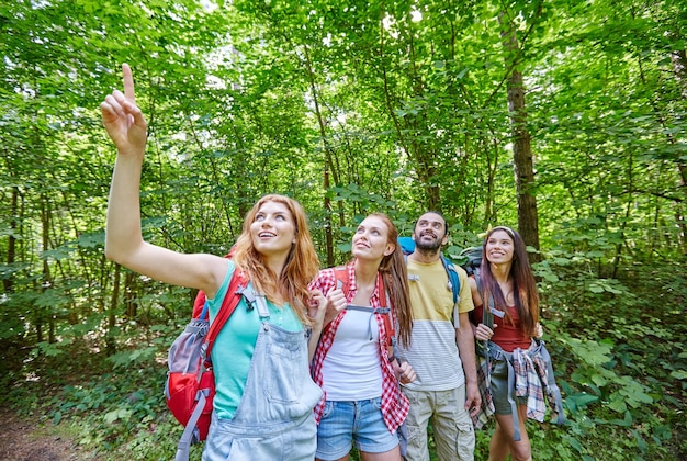 adventure, travel, tourism, hike and people concept - group of smiling friends with backpacks pointing finger up in woods