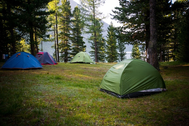 Adventures Camping and tent under the pine forest near water outdoor in morning and sunset pine forest park,