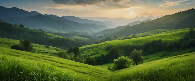 광고와 배너를 위해 Verdant Vistas로 원시 풍경의 울창한 초록색을 보여줍니다.