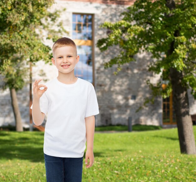 advertising, people and childhood concept - smiling little boy in white blank t-shirt making ok gesture over campus background