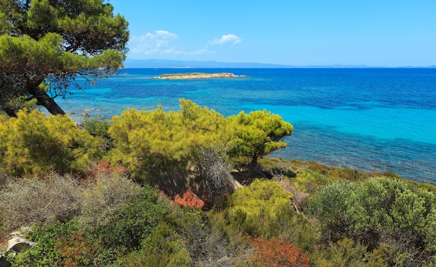 Karidi 해변 Chalkidiki 그리스 근처 에게 해 해안 풍경 보기