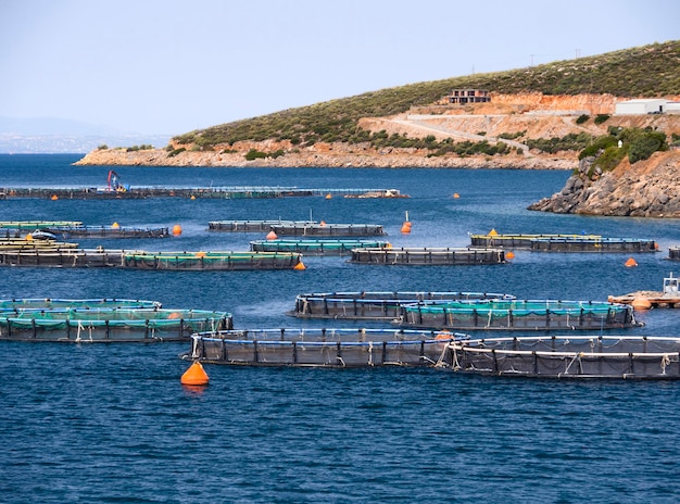 Aegean sea and a fish farm on the Greek island of Evia in Greece on a Sunny day