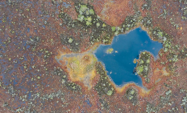 Aeraial top down view on the bog lake and peatland