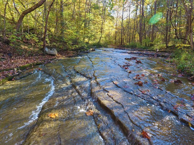 Aerial Autumn Stream in Woodland Hathaway Preserve Indiana