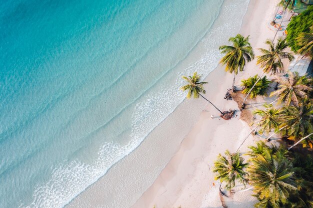 Foto spiaggia aerea e alberi di cocco su un'isola tranquilla al mattino