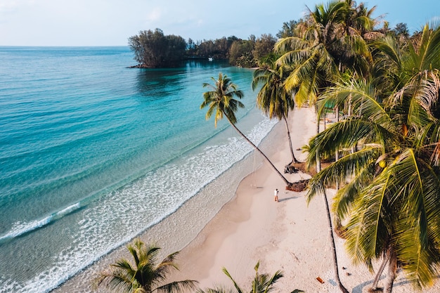 Photo aerial beach and coconut trees on a calm island in the morning