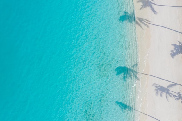 Aerial beach landscape Minimalist beach view from drone airplane palm shadows over sand sea lagoon