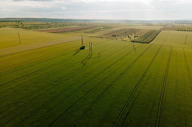 Воздушный кинематографический дрон летит над пшеничным полем и беспилотник высоковольтных электрических башен ...