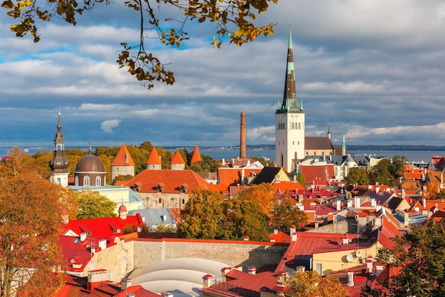 Aerial cityscape with Medieval Old Town and St Olaf Baptist Church in Tallinn in autumn day Estonia