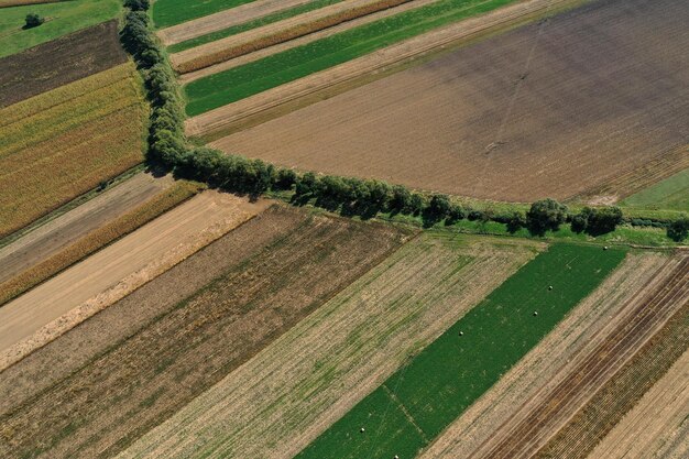 Фото Воздушный вид сельской местности сельскохозяйственных полей сельскохозяйственных земель сельские пейзажи с помощью дрона