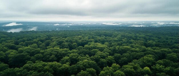 Foto un drone aereo sparato sopra le cime degli alberi verdi in una giornata nuvolosa