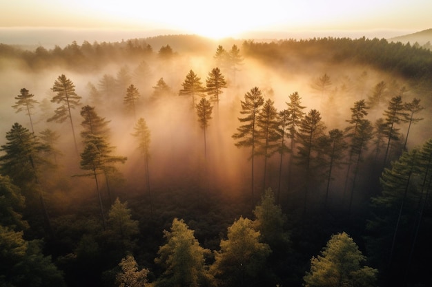 Aerial Drone Shots of Beautiful Landscapes and Natural Wonders