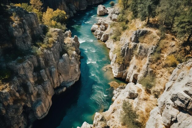 モルドバの狭い川で岩の多い峡谷に浮かぶ自然の空中無人機の垂直景色