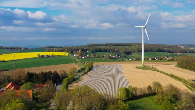 Aerial drone view of asparagus fields and yellow rapeseed fields in german countryside