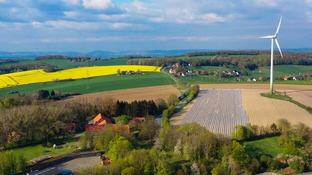 Aerial drone view of asparagus fields and yellow rapeseed fields in german countryside