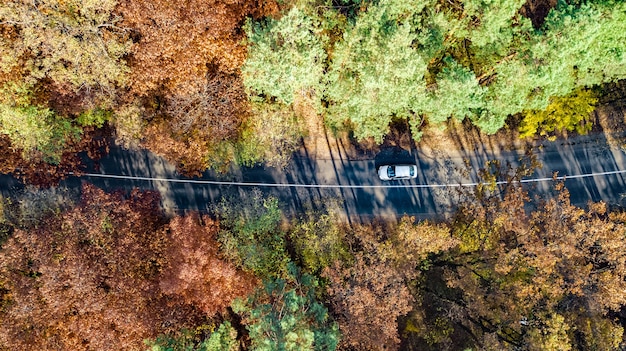 Aerial drone view of autumn landscape and road from above yellow green and red golden autumn