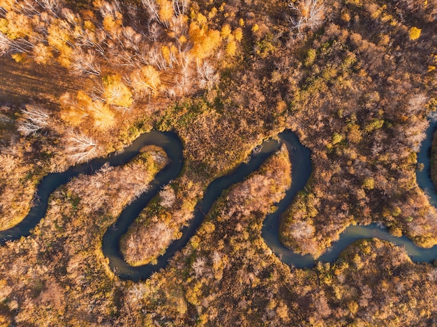 Aerial drone view of autumn landscape with river