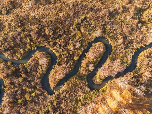 Aerial drone view of autumn landscape with river