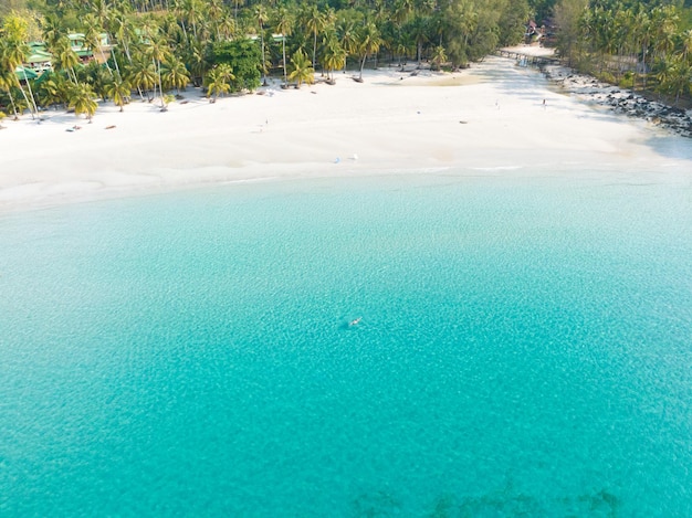 Foto vista aerea da drone di una bellissima spiaggia con acqua turchesa e palme del golfo della thailandia isola di kood thailandia