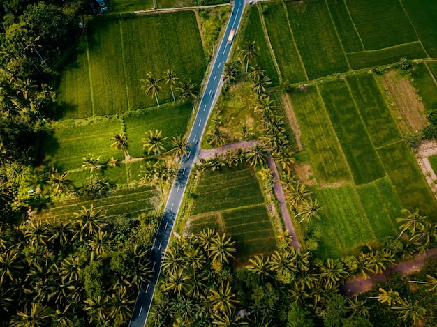 Aerial drone view of the beautiful road surrounded by the rice fields in Bali, Indonesia