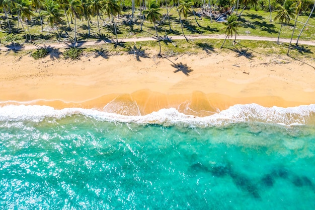 Aerial drone view of beautiful wild caribbean tropical Macao beach with palms Dominican Republic Vacation background