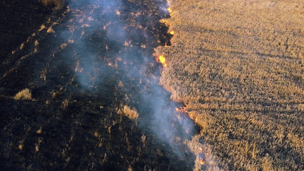 Photo aerial drone view over burning dry grass and smoke in field flame and open fire top view black ash f