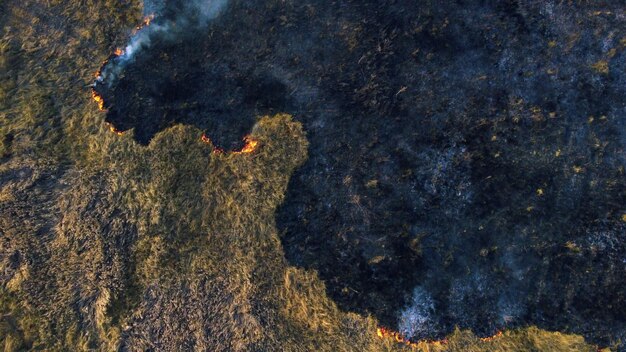 Aerial drone view over burning dry grass and smoke in field flame and open fire top view black ash f