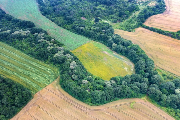 Aerial drone view of the countryside with attractive trees