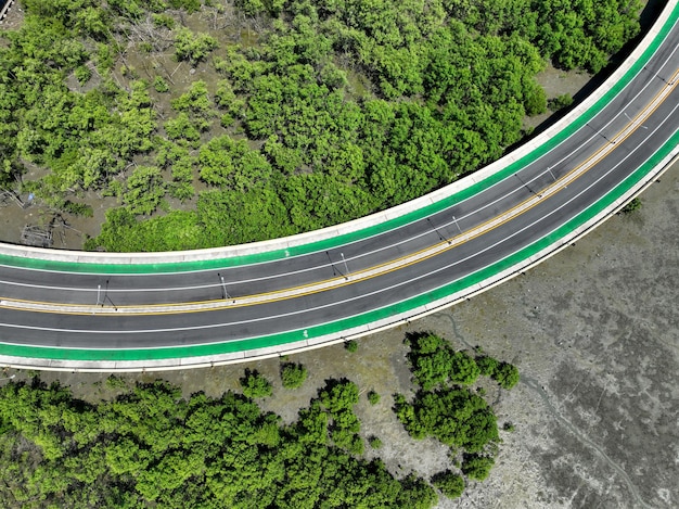 Aerial drone view curve road with green mangrove forest and mudflat beach Mangroves capture CO2