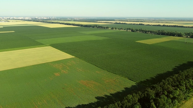 Aerial drone view flight over different agricultural fields sown with various rural agricultural cultures. Top view farmland and plantations. Landscape fields agro-industrial culture. Countryside