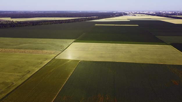 Aerial drone view flight over different agricultural fields sown with various rural agricultural cultures. Top view farmland and plantations. Landscape fields agro-industrial culture. Countryside