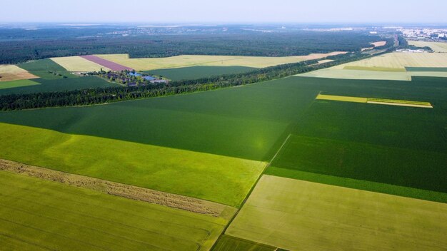 Aerial drone view flight over different agricultural fields sown