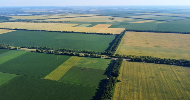 Aerial drone view flight over different agricultural fields sown