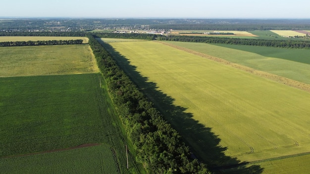 Aerial drone view flight over different agricultural fields