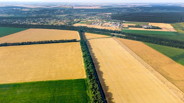 Aerial drone view flight over different yellow green agricultural fields