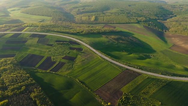Вид с воздуха с помощью дрона Полет над лесом и асфальтовой дорогой в мягком свете заката
